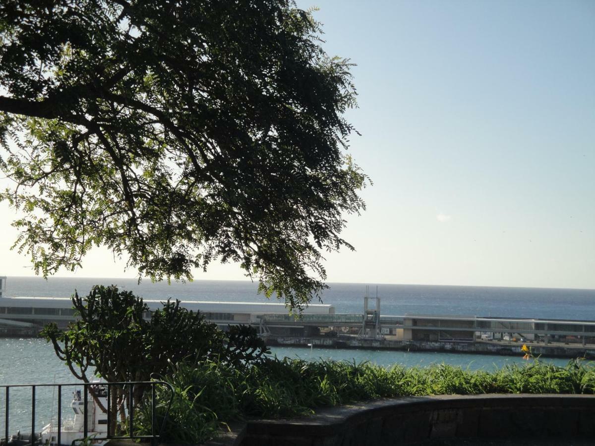 Violeta House Villa Funchal  Eksteriør bilde