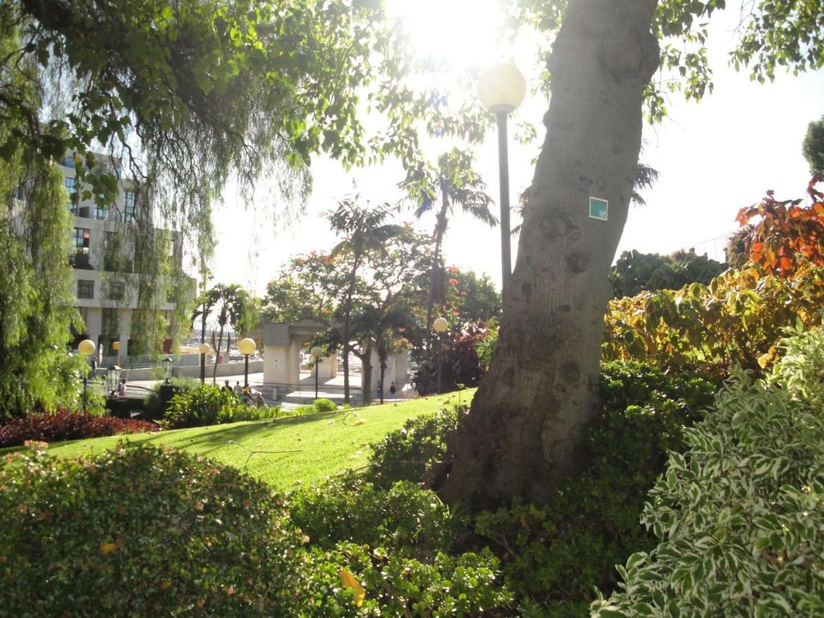 Violeta House Villa Funchal  Eksteriør bilde